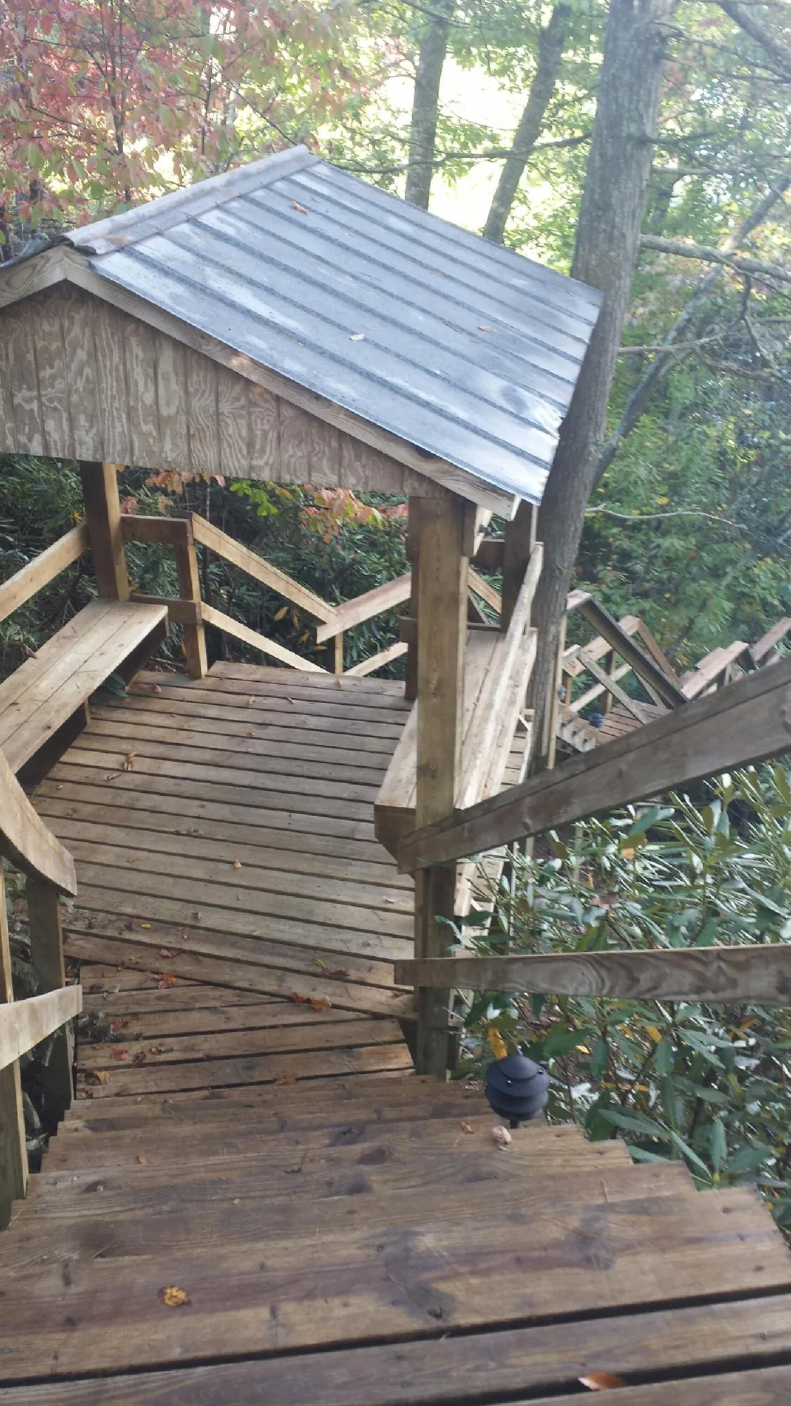 Metal roofed shelter over wooden steps on a wooded walkway — Skylight Repair & Installation work by our crew in Bainbridge Island