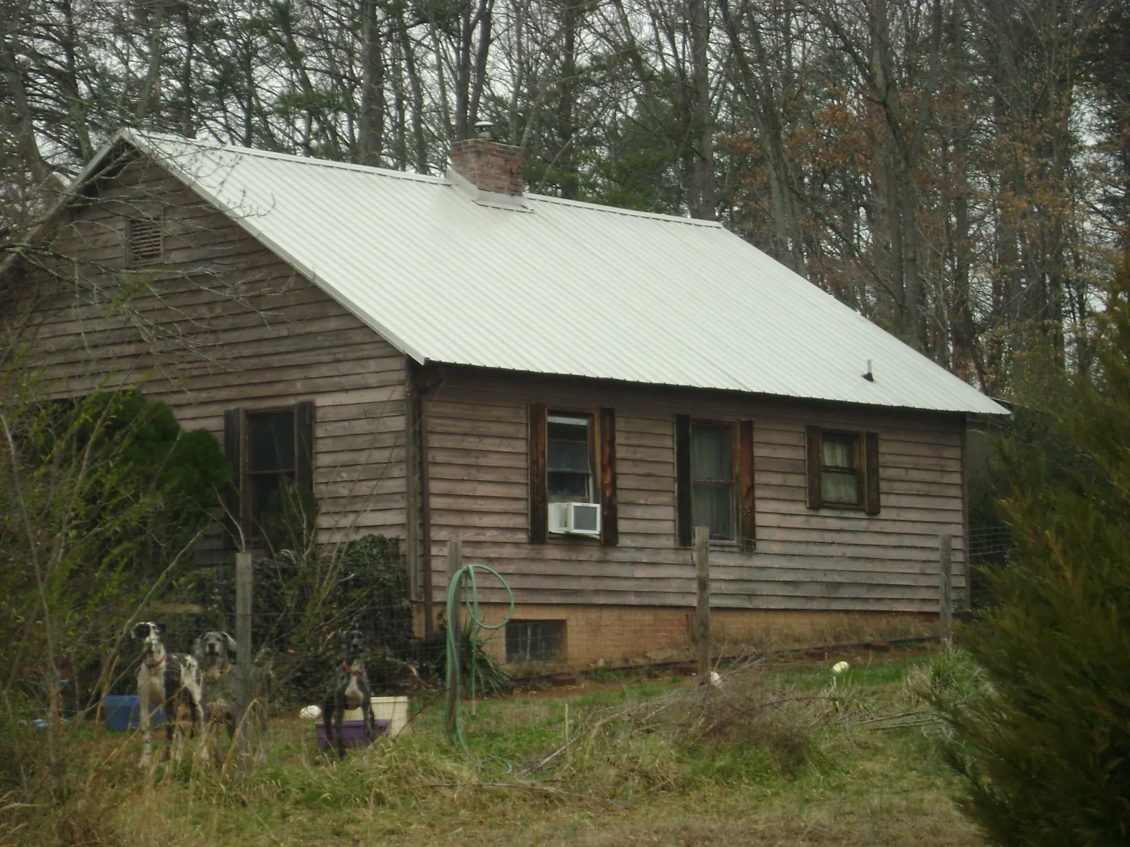 White metal roof on an old wood sided farmhouse, from a Asphalt Shingle Roof Repair job in Bainbridge Island